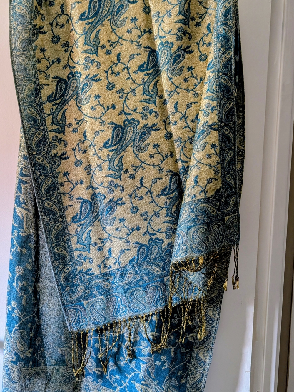 Blue and Cream Paisley Fringe Throw Blanket - Unbranded